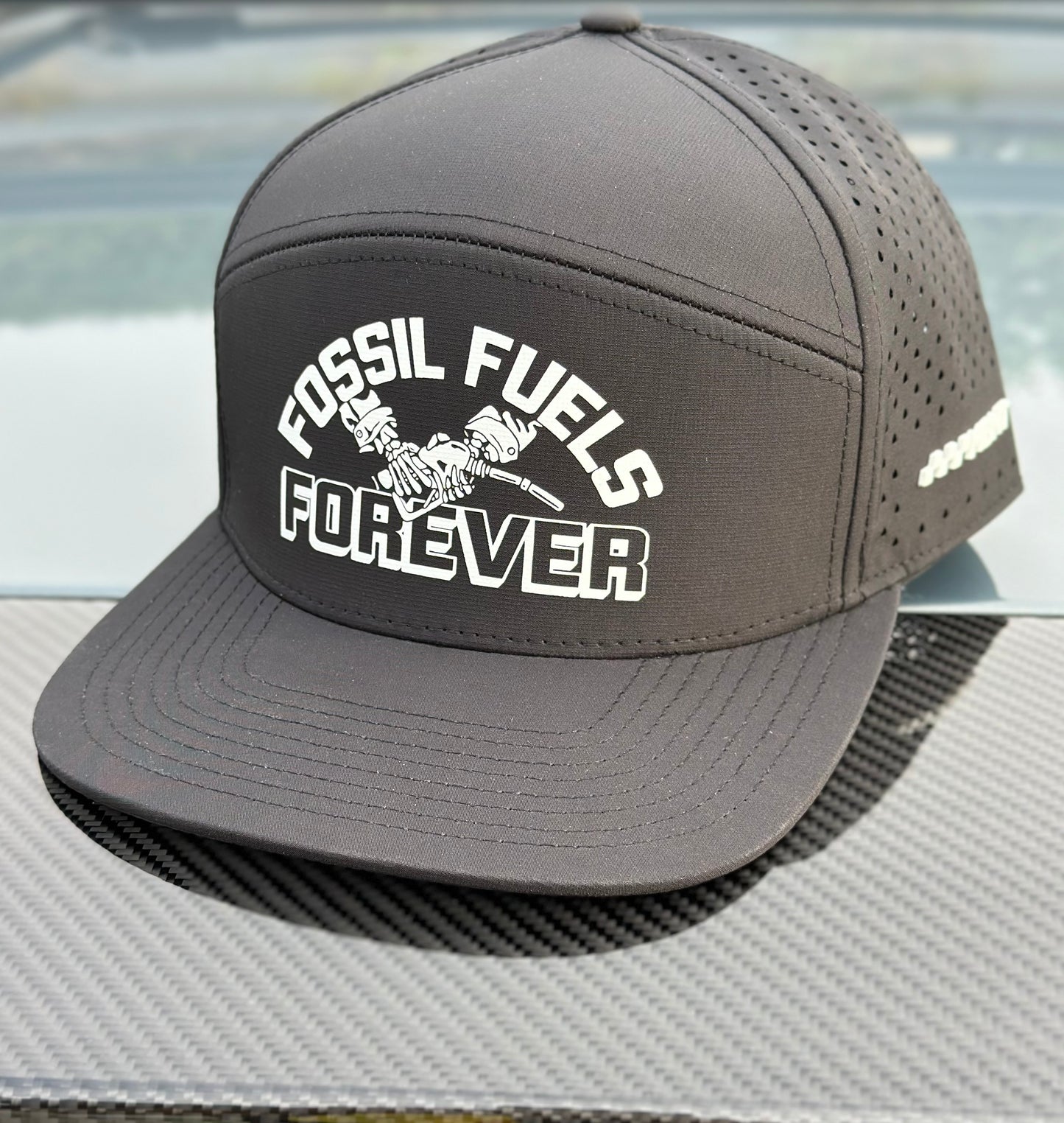 Fossil Fuels Snap Back