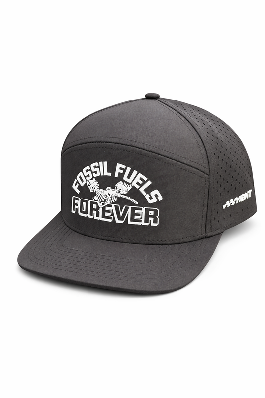 Fossil Fuels Snap Back